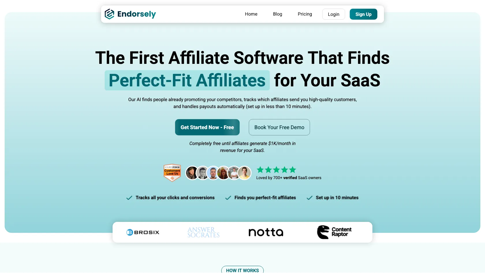 Screenshot or logo of Endorsely tool