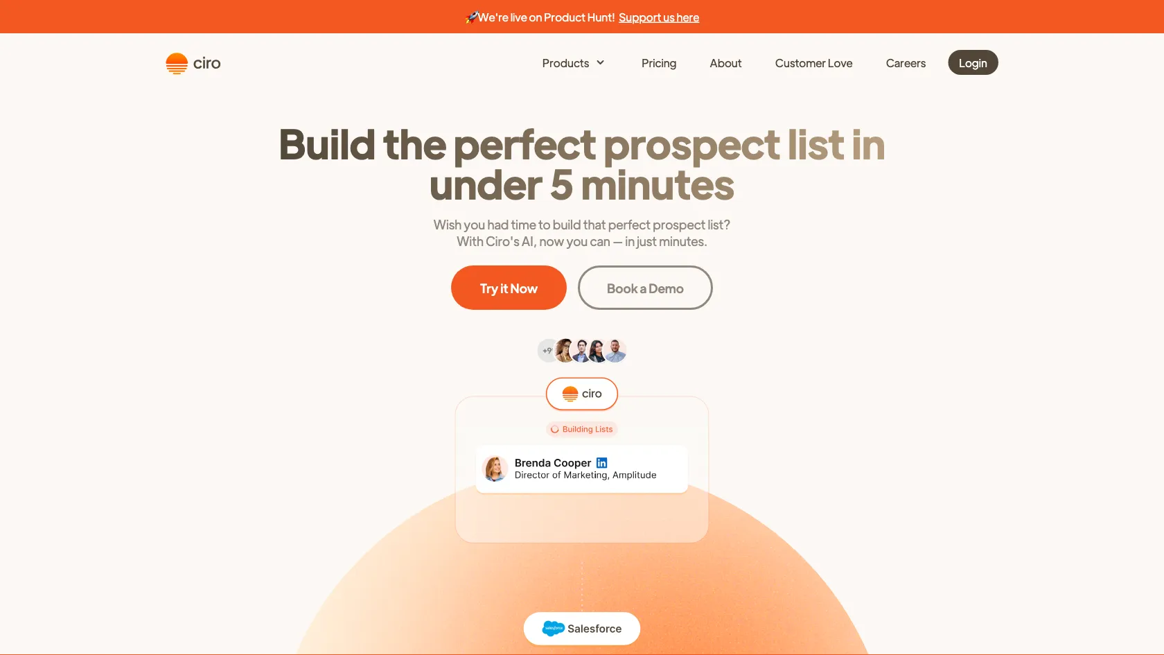 Screenshot or logo of Ciro tool
